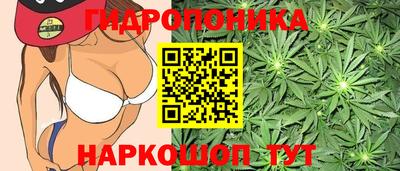 mdpv Краснознаменск