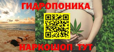 mdpv Краснознаменск