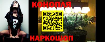 mdpv Краснознаменск