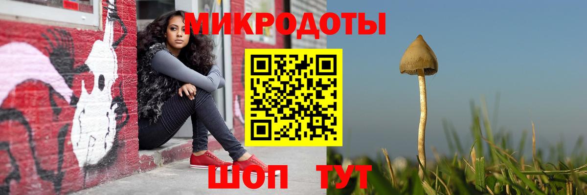 Галлюциногенные грибы прущие грибы Кингисепп