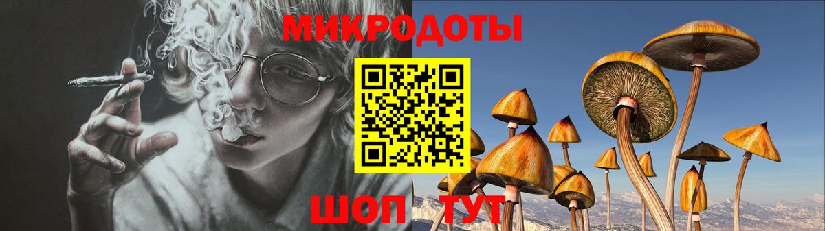 Кингисепп  Галлюциногенные грибы Psilocybe  Вход с VPN  Галлюциногенные грибы Psilocybe 